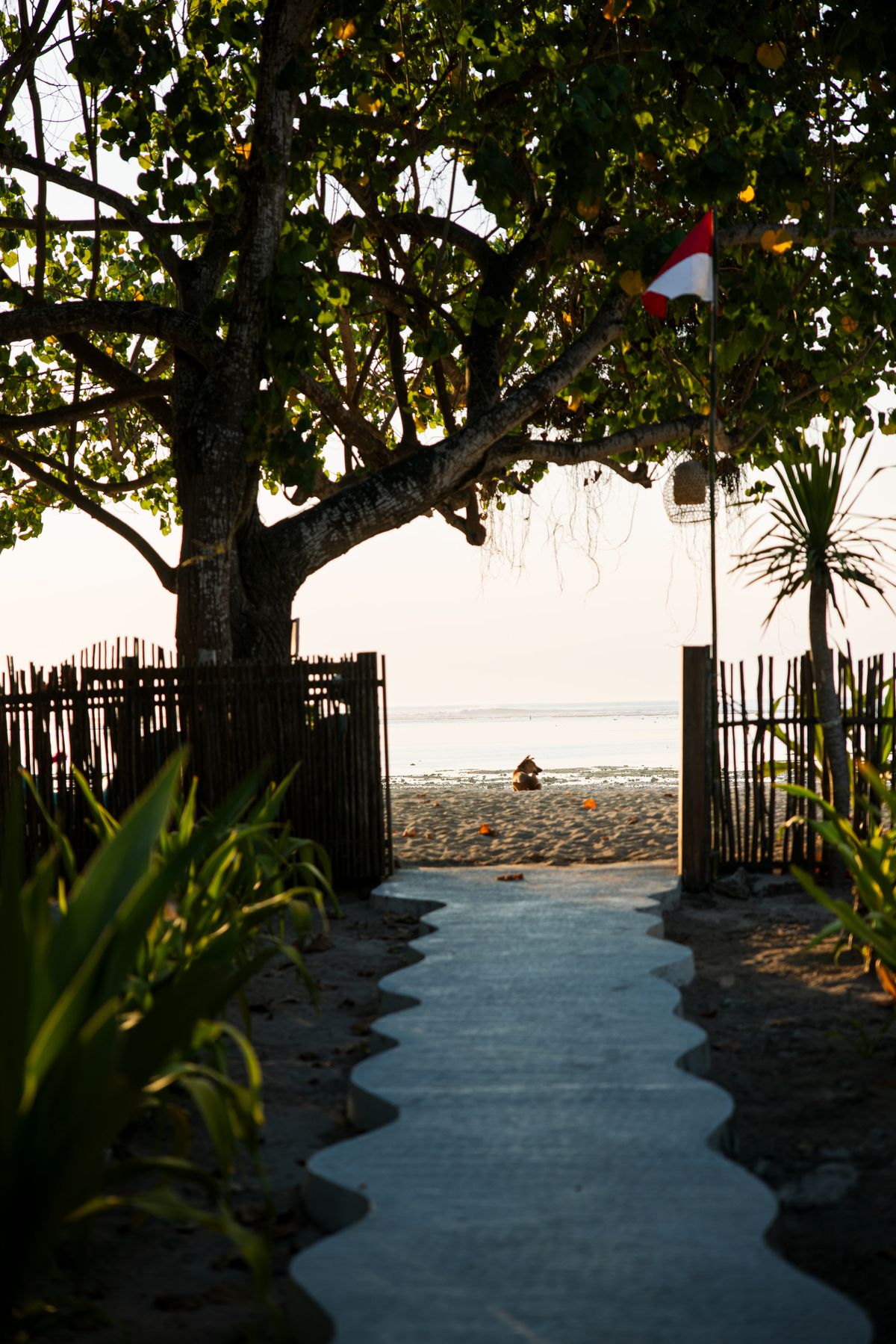 Indonesia, photo 36 by Joey Converse