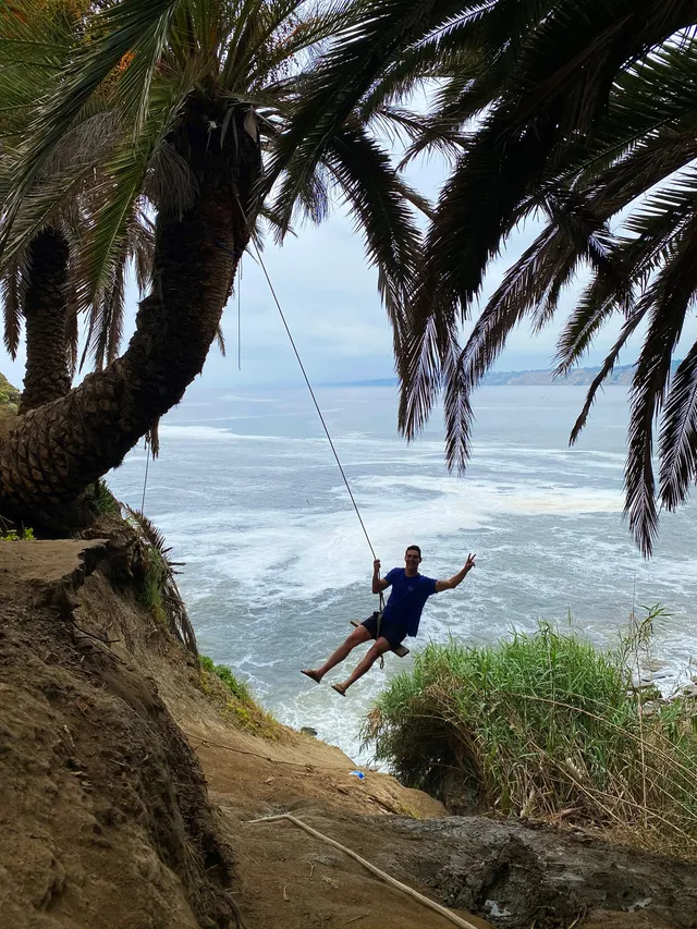 Joey on a rope swing over the ocean beneath palm trees